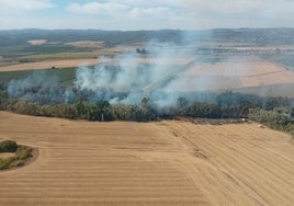 Treinta bomberos continuarán esta noche intentando sofocar un incendio en Almodóvar del Río