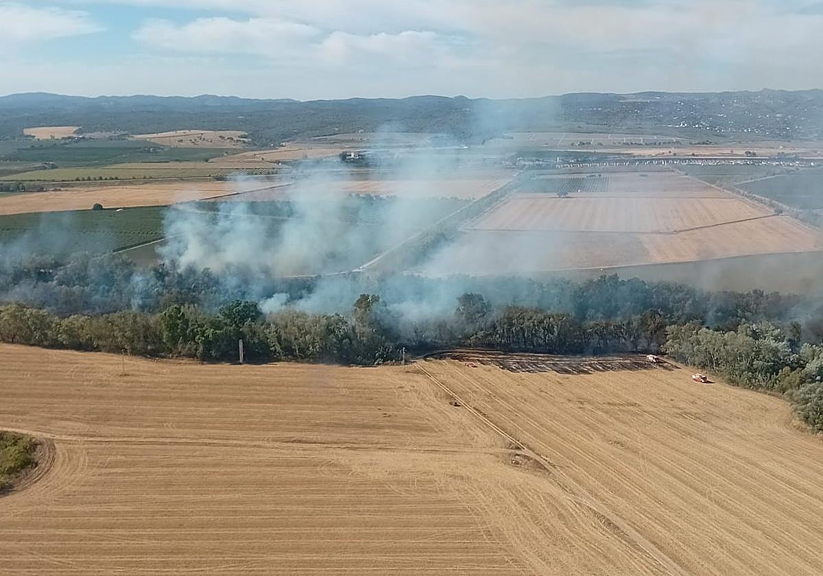 Imagen del incendio forestal en Almodóvar del Río
