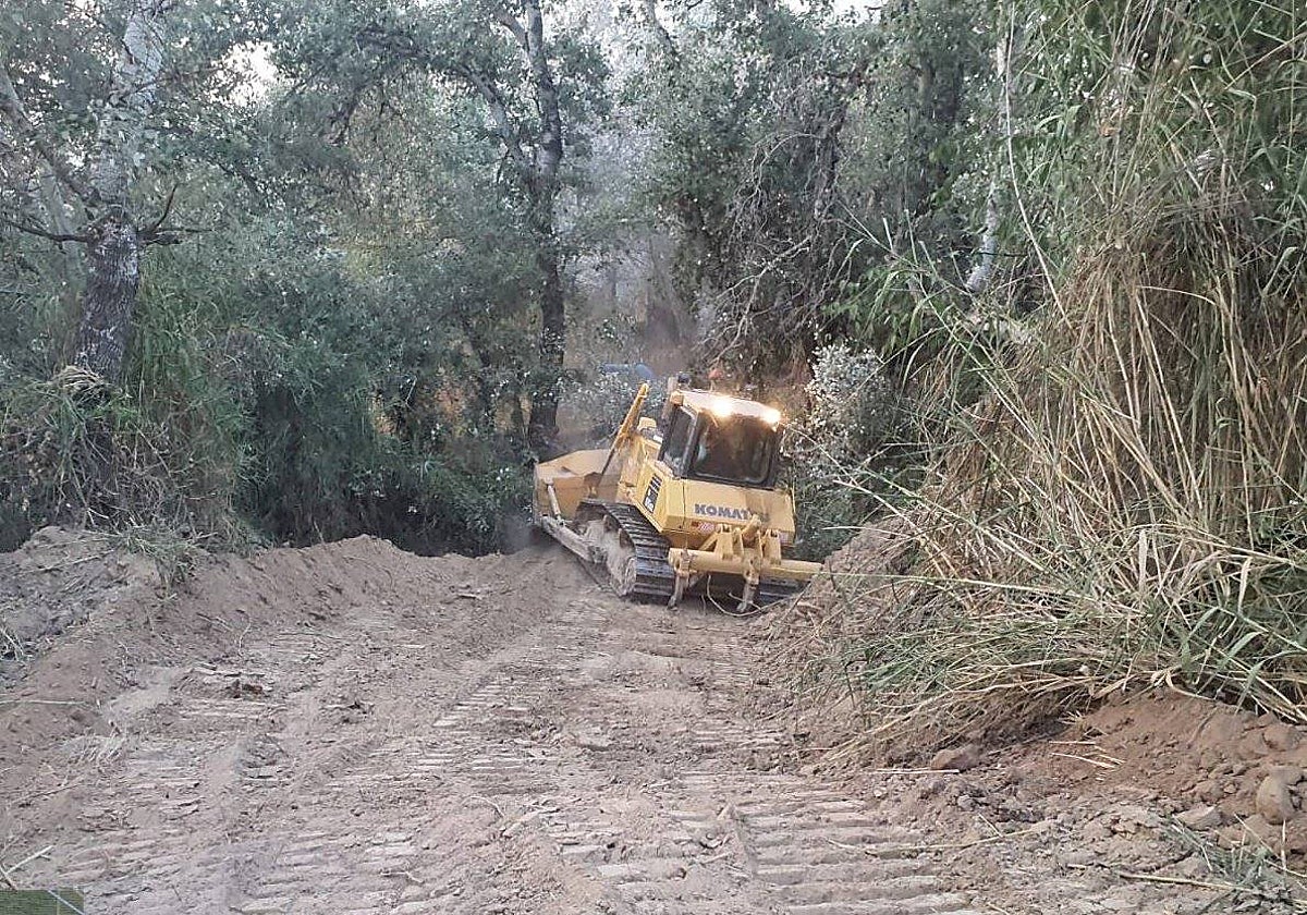 Maquinaria pesada trabajando esta mañana en la zona afectada por el incendio forestal