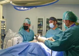 El Hospital San Juan de Dios realiza con éxito su primera intervención de cirugía de columna por vía lateral
