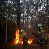 Galicia mantiene «máxima prevención» con los incendios tras el embate de 2022