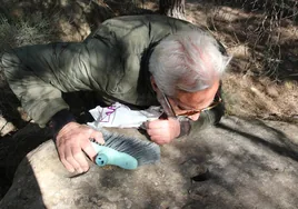 Una investigación descubre 17 lugares con grabados prehistóricos en la provincia de Alicante