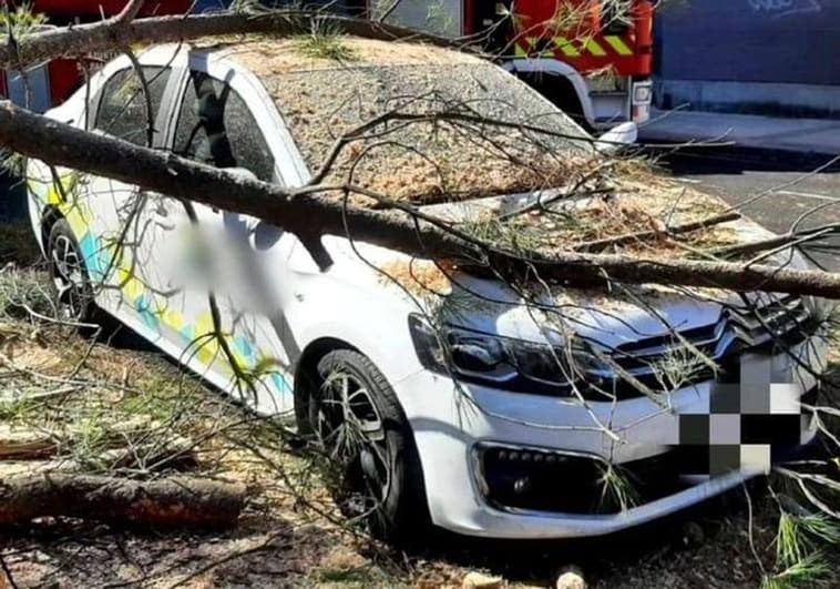 Uno de los vehículos destruidos tras la caída del pino