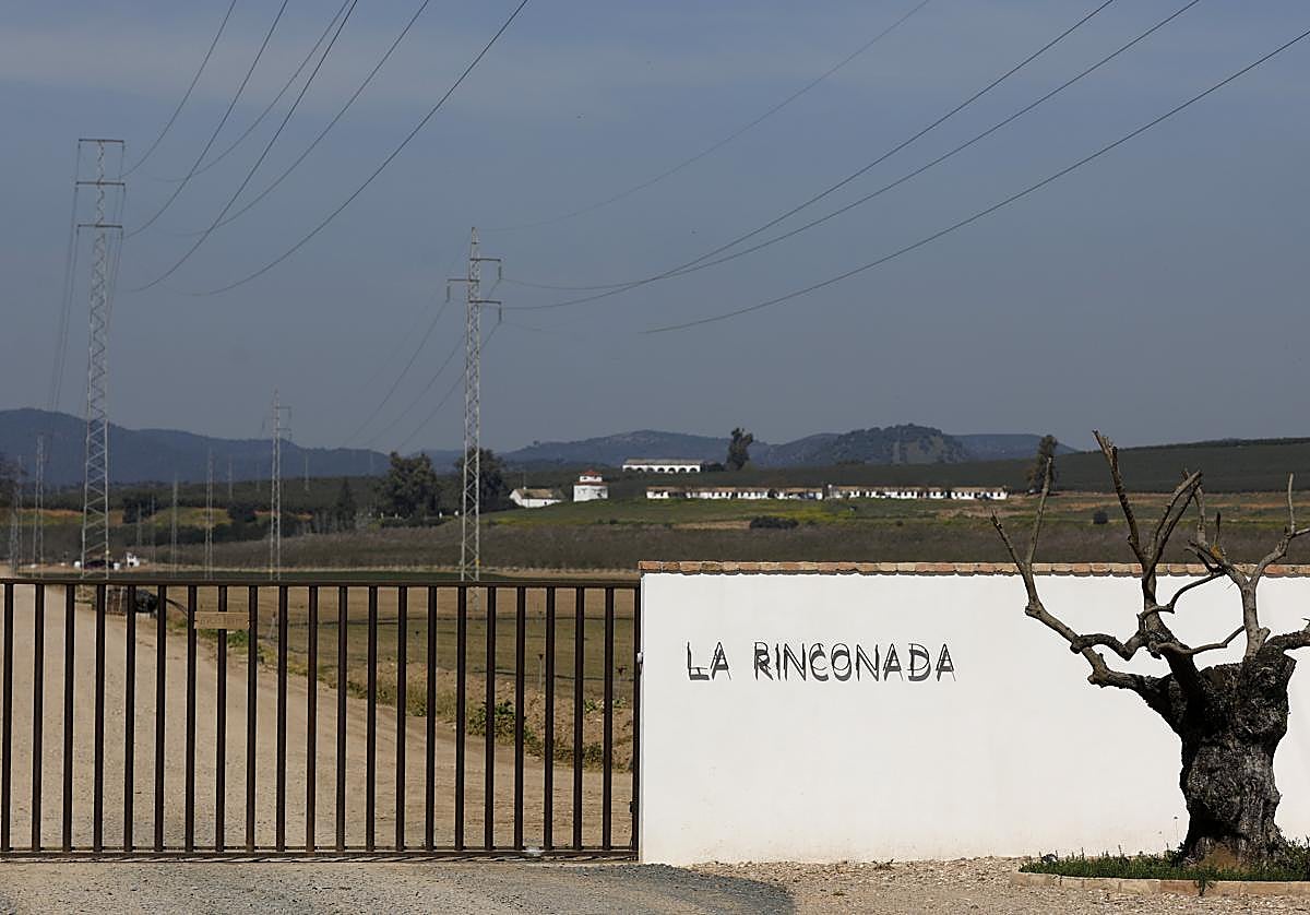 Imagen de parte de los suelos de La Rinconada, donde irá la Base Logística y un parque empresarial