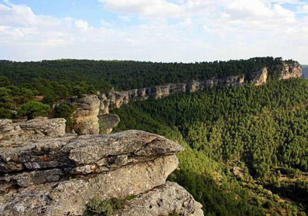 Ecologistas tildan de «farsa» la licitación y alquiler de monte público para Toro Verde: «Aunque sea legal, no es ético»