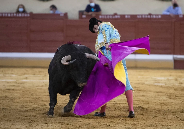 Verónica media de Morante de la Puebla en la plaza de toros de Alcalá de Henares, en 2021