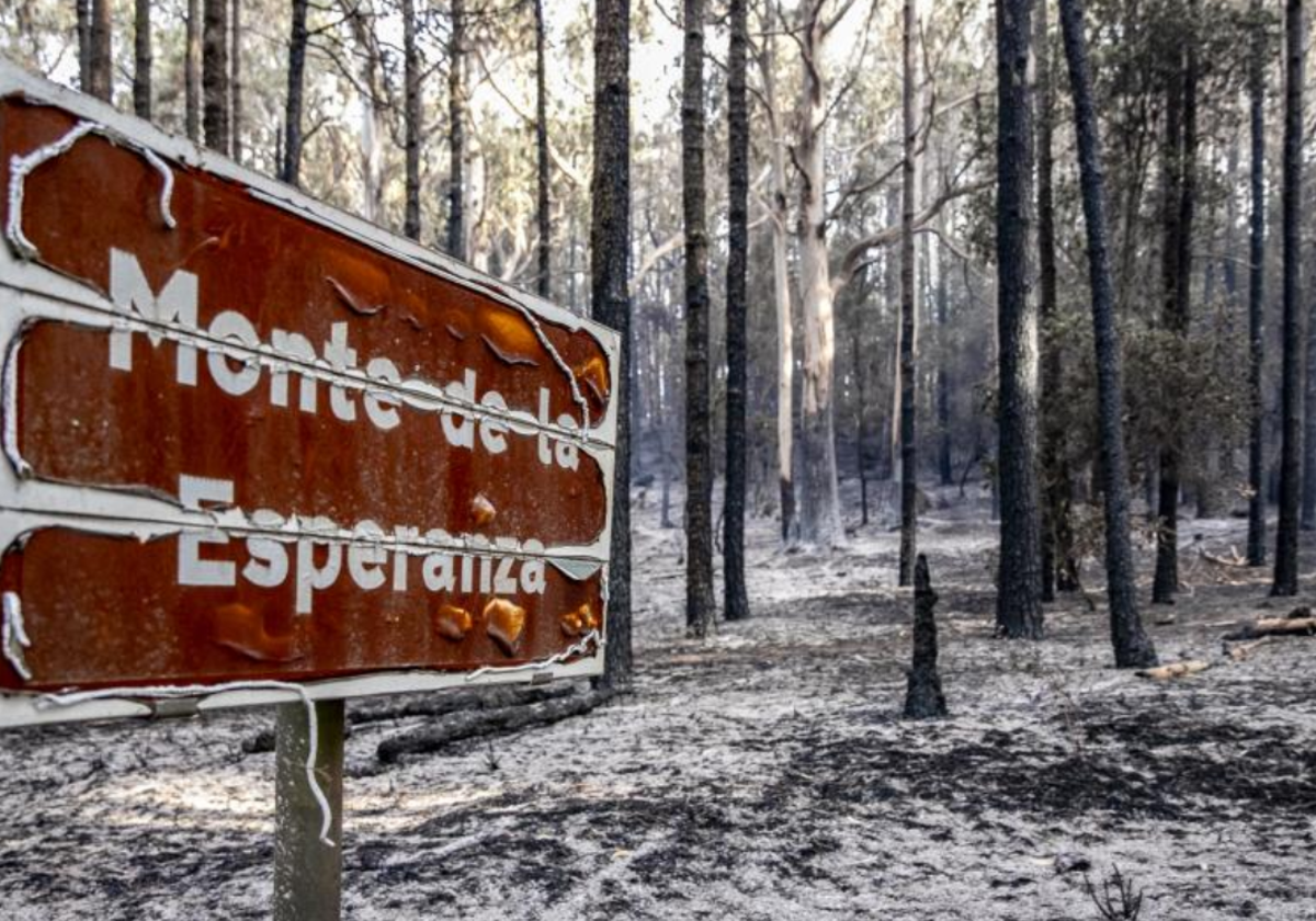 Zona calcinada del Monte de la Esperanza