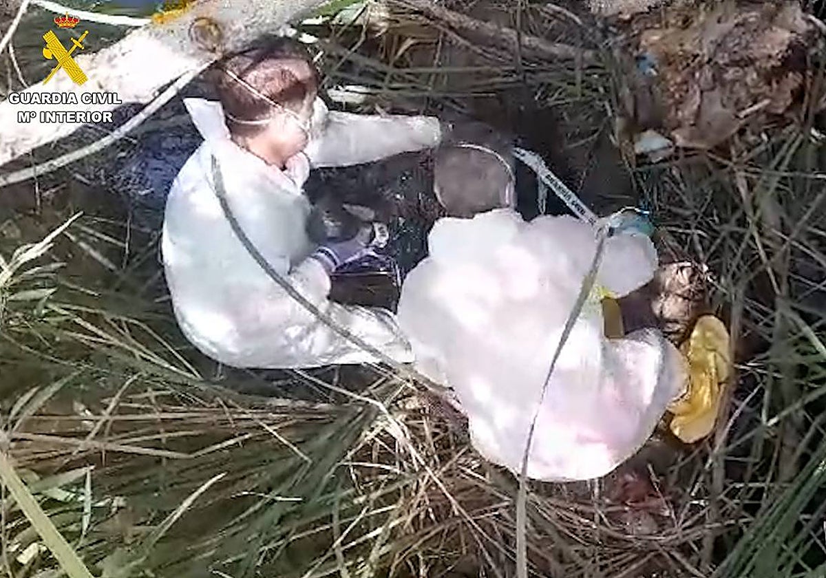 Agentes del Seprona en la poza donde encontraron los cadáveres de los perros