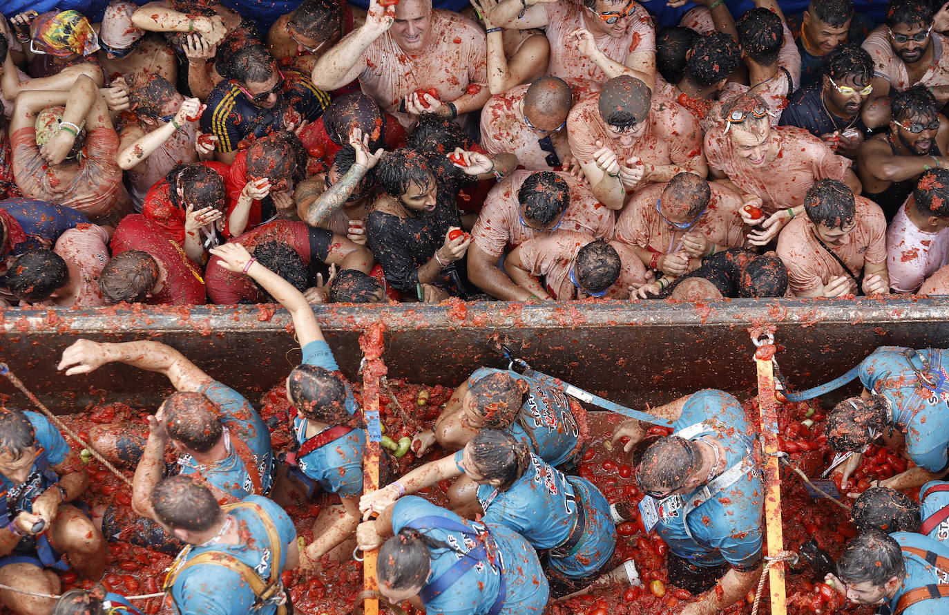 Un total de 1﻿50.00 kilos de tomates de pera y maduros se han preparado como munición para esta fiesta ﻿