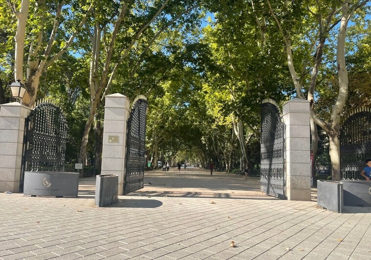 El Ayuntamiento de Albacete reabre el Parque Abelardo Sánchez tras la limpieza del arbolado