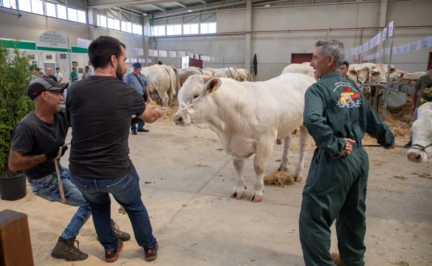 Feria Ganadera Salamaq 2023