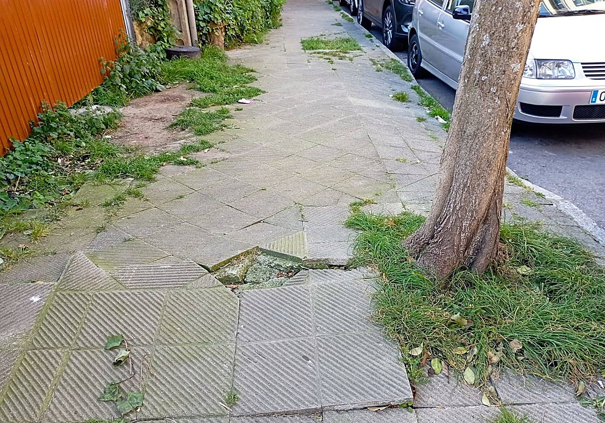 Una acera levantada e invadida por la maleza