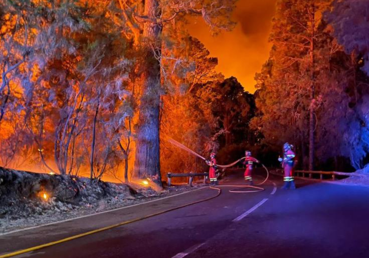 Agentes de la UME trabajan contra el fuego en Tenerife,