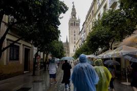 Las lluvias del fin de semana han sido «insuficientes» para paliar la sequía en Andalucía