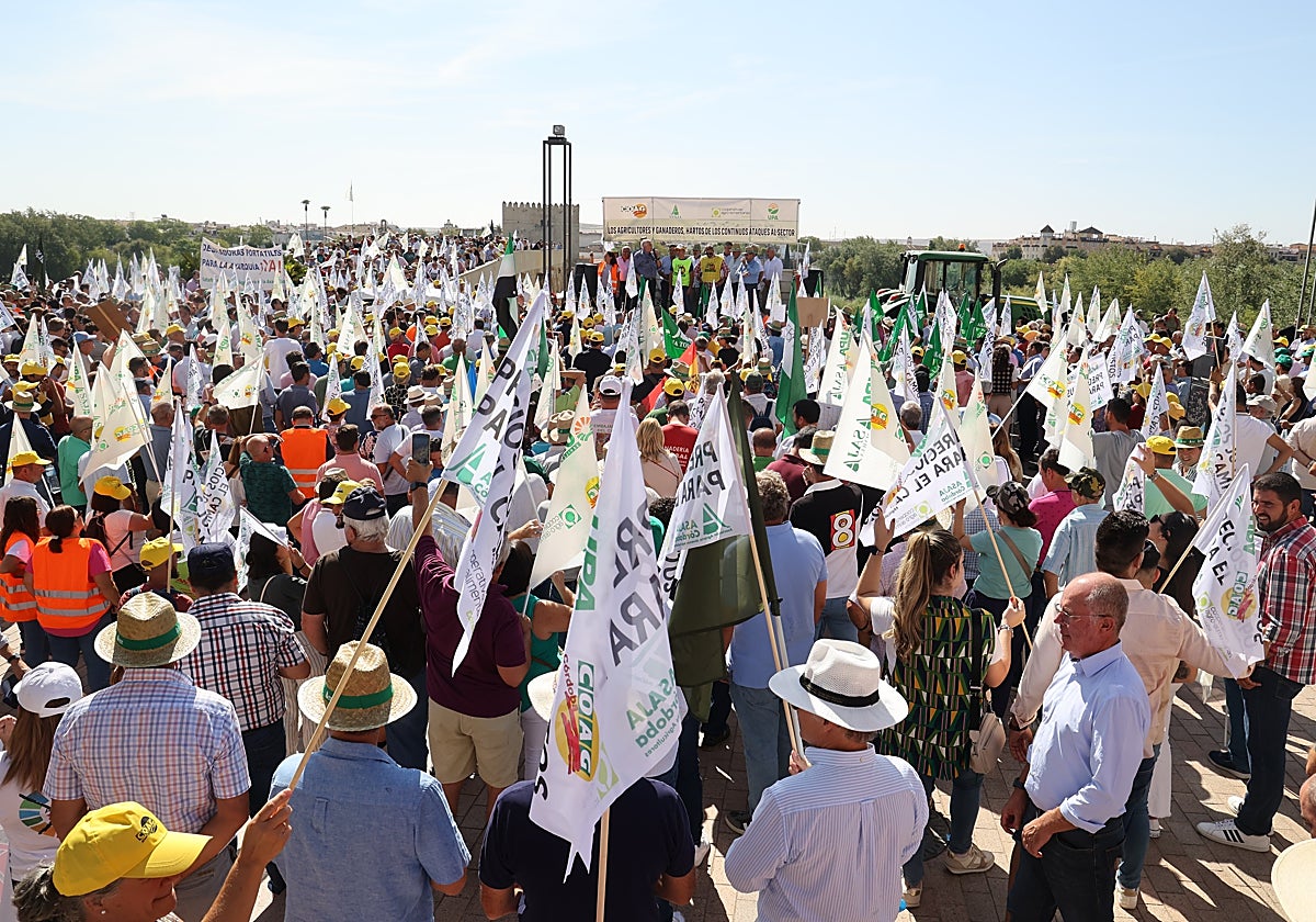Manifestantes en el Puente Romano y la plaza del Triunfo de Córdoba