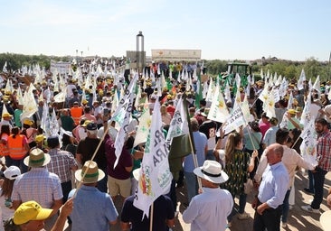 Fotos: El campo estalla en Córdoba frente a los ministros de la UE