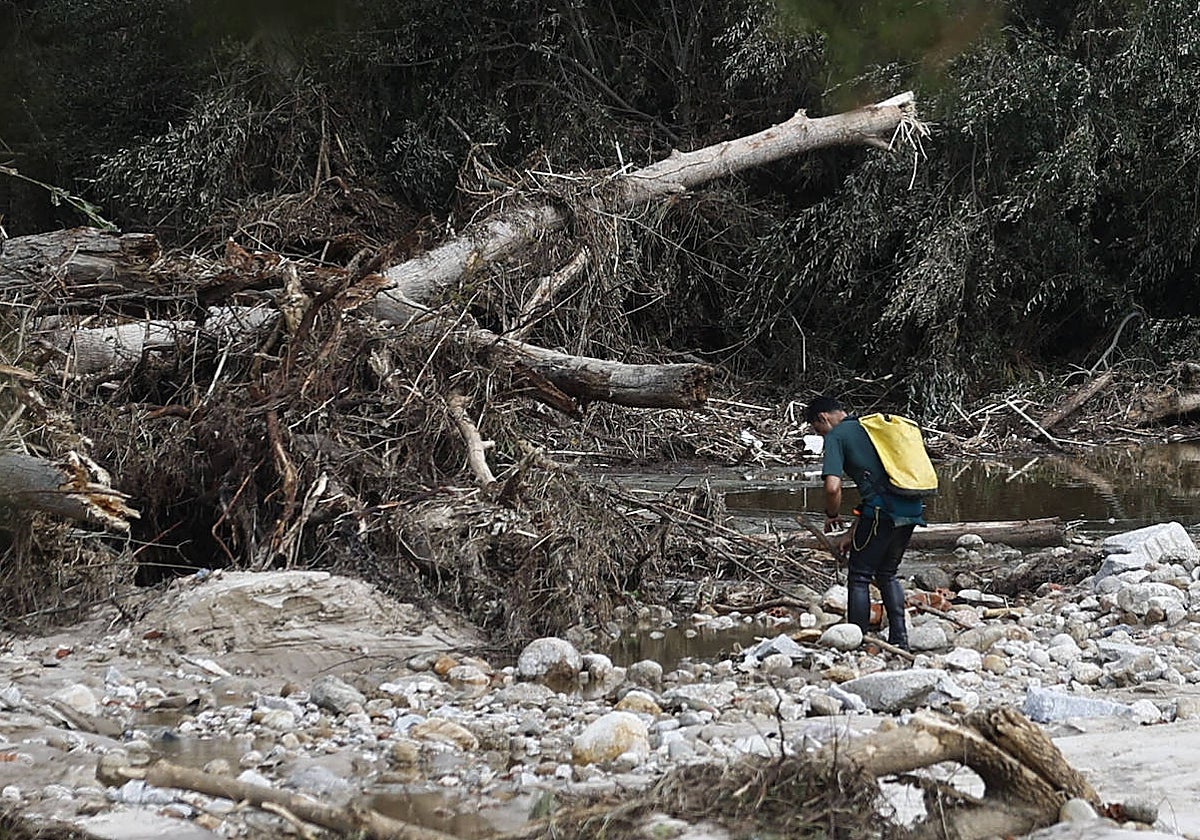 Continúa la búsqueda de desaparecidos por las inundaciones causadas por la DANA este miércoles en Aldea del Fresno
