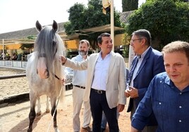 Cabalcor convierte a Córdoba en septiembre en el epicentro mundial del caballo