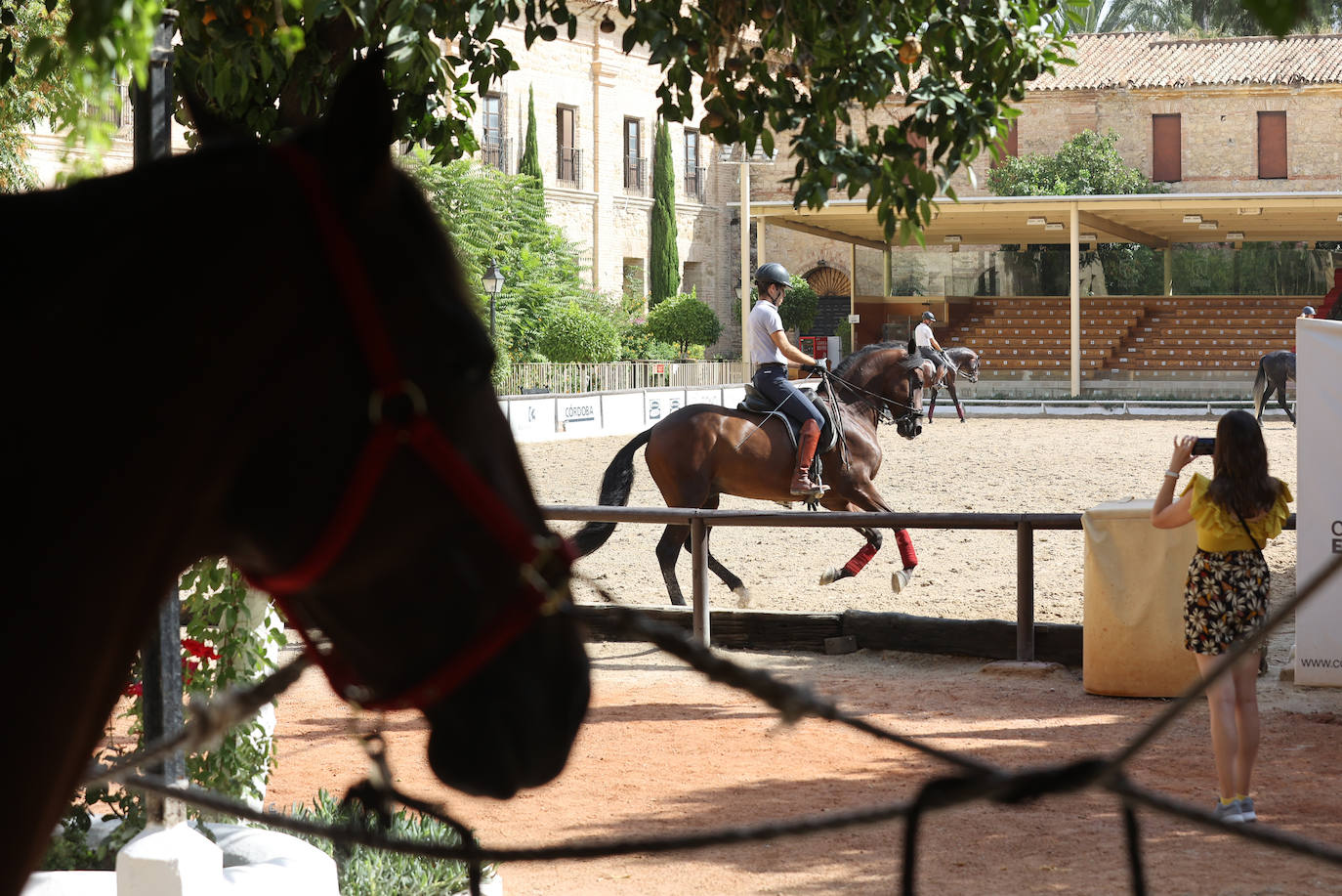 Caballerizas Reales se engalana para Cabalcor 2023, en imágenes