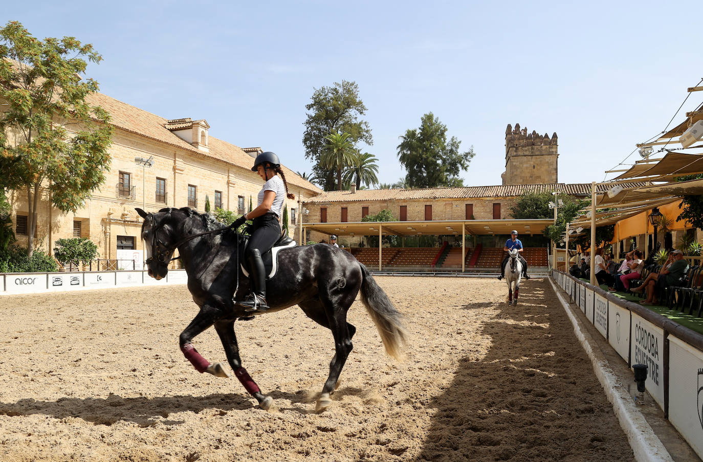 Caballerizas Reales se engalana para Cabalcor 2023, en imágenes