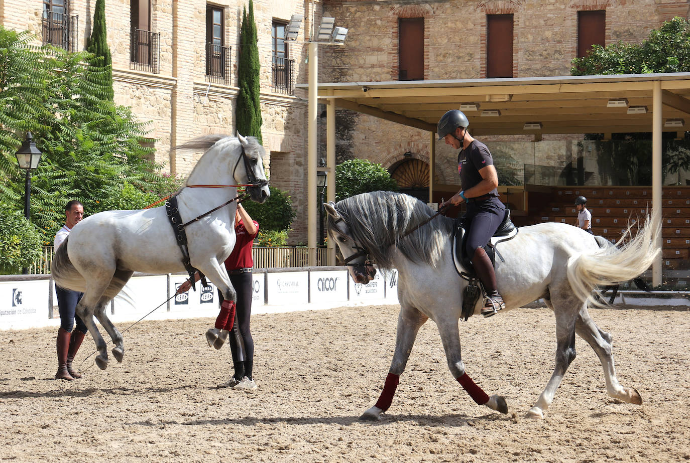 Caballerizas Reales se engalana para Cabalcor 2023, en imágenes