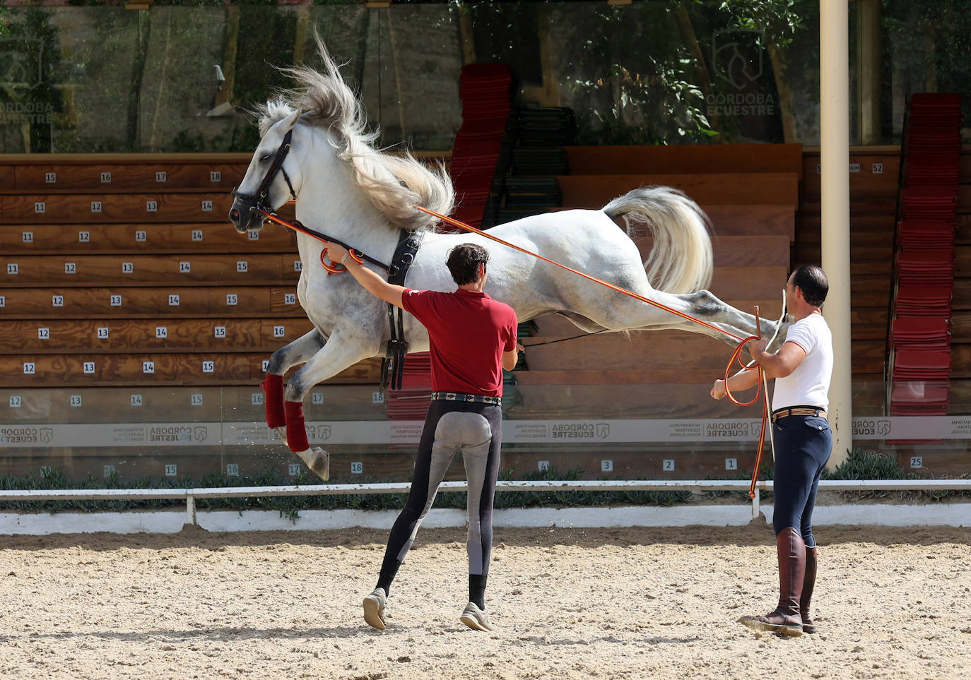 Caballerizas Reales se engalana para Cabalcor 2023, en imágenes