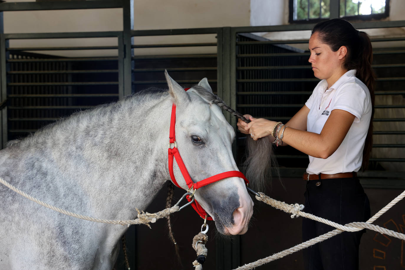 Caballerizas Reales se engalana para Cabalcor 2023, en imágenes