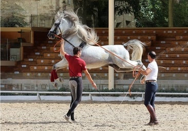 Caballerizas Reales se engalana para Cabalcor 2023, en imágenes