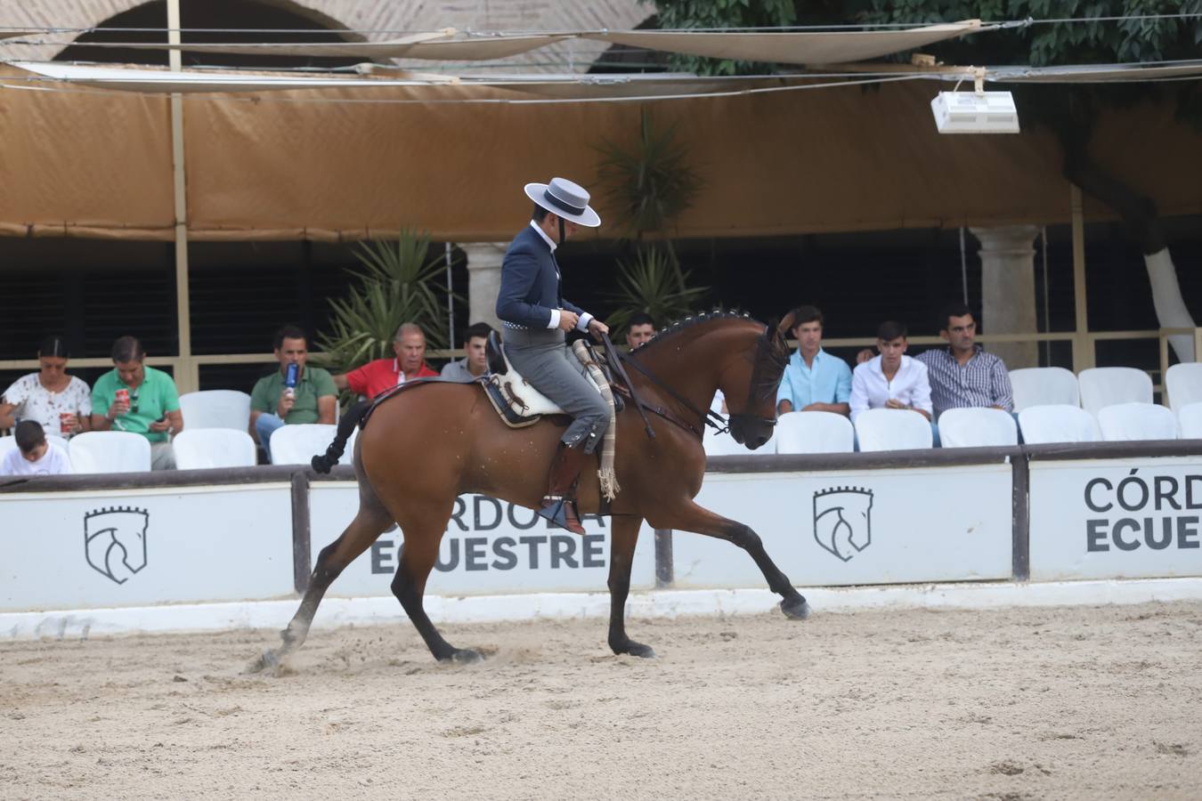 La Copa de España de Doma Vaquera en Córdoba