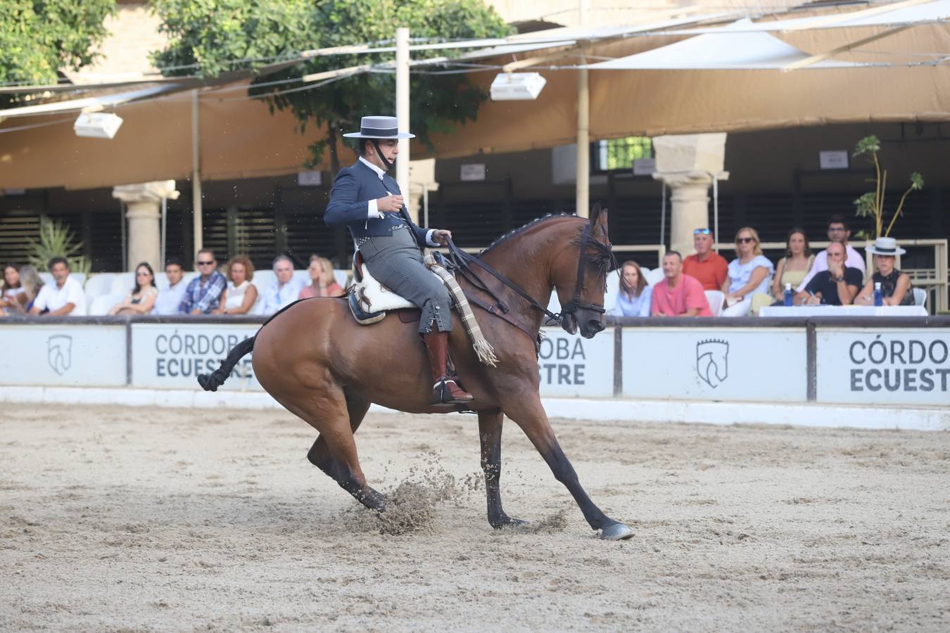 La Copa de España de Doma Vaquera en Córdoba