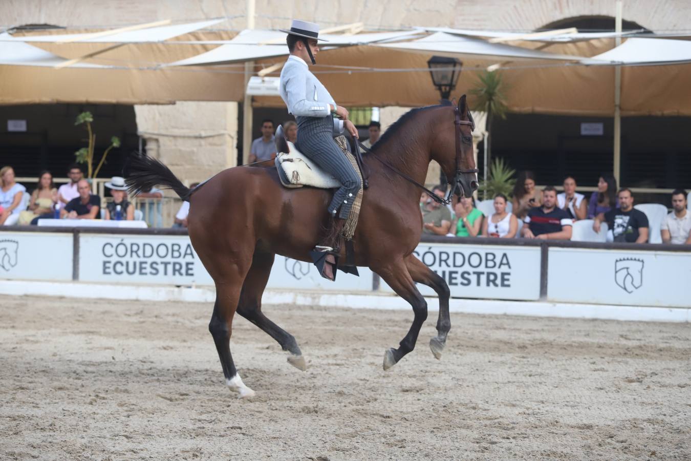 La Copa de España de Doma Vaquera en Córdoba