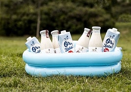 Fartons Polo presenta el Polo Fest 2023, el festival familiar más fresco del verano en los Jardines de Viveros de Valencia