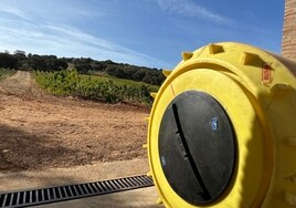 Drones y robots para ahorrar hasta un 90% de agua en los viñedos de Ronda