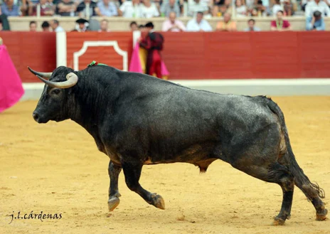 Imagen secundaria 1 - Mejor peón, el novillo Campiñeso y mejor picador