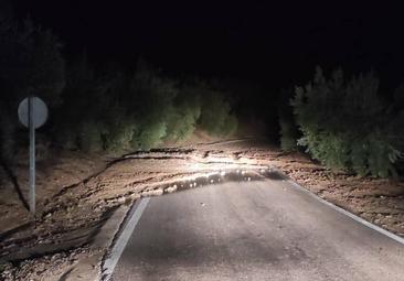 Los bomberos de Montilla rescatan a una conductora atrapada tras desbordarse un arroyo