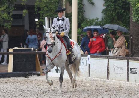 Imagen secundaria 1 - La elegancia de los Pura Raza se impone a la lluvia en la Feria del Caballo de Córdoba