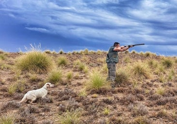Los cazadores de Castilla-La Mancha apuntan al 8 de octubre tras una media veda «agridulce»