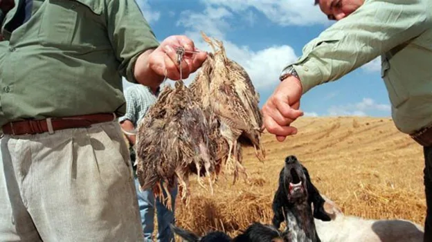 Cazadores con sus perros muestran trofeos de caza menor