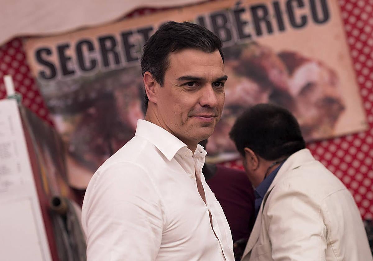 Pedro Sánchez, en 2016