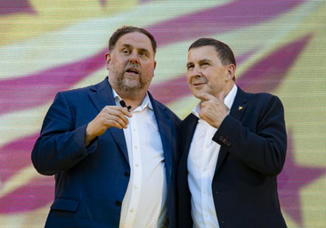 Junqueras acude mañana al Congreso para celebrar que se use el catalán