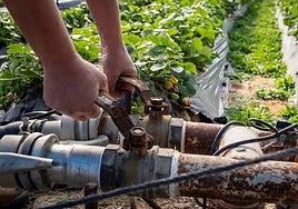 PP y Vox sacan adelante el último trámite antes de aprobar la Ley de regadíos de Doñana el próximo martes