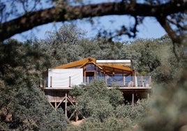 Así es el espectacular glamping de lujo en Adamuz que mira al cielo desde los árboles
