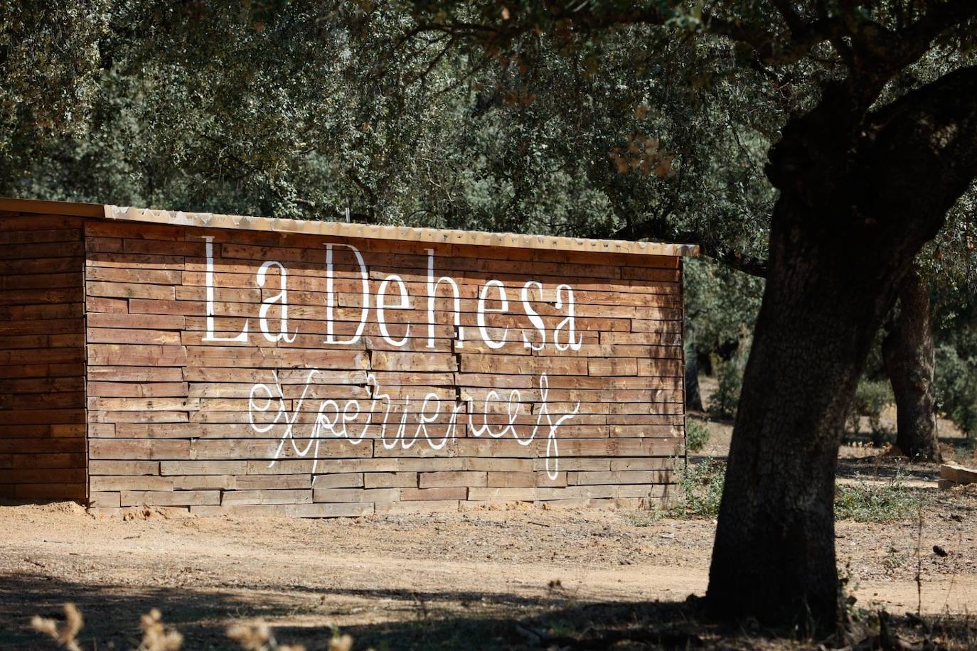 Las lujosas suites del glamping de lujo en Adamuz, en imágenes