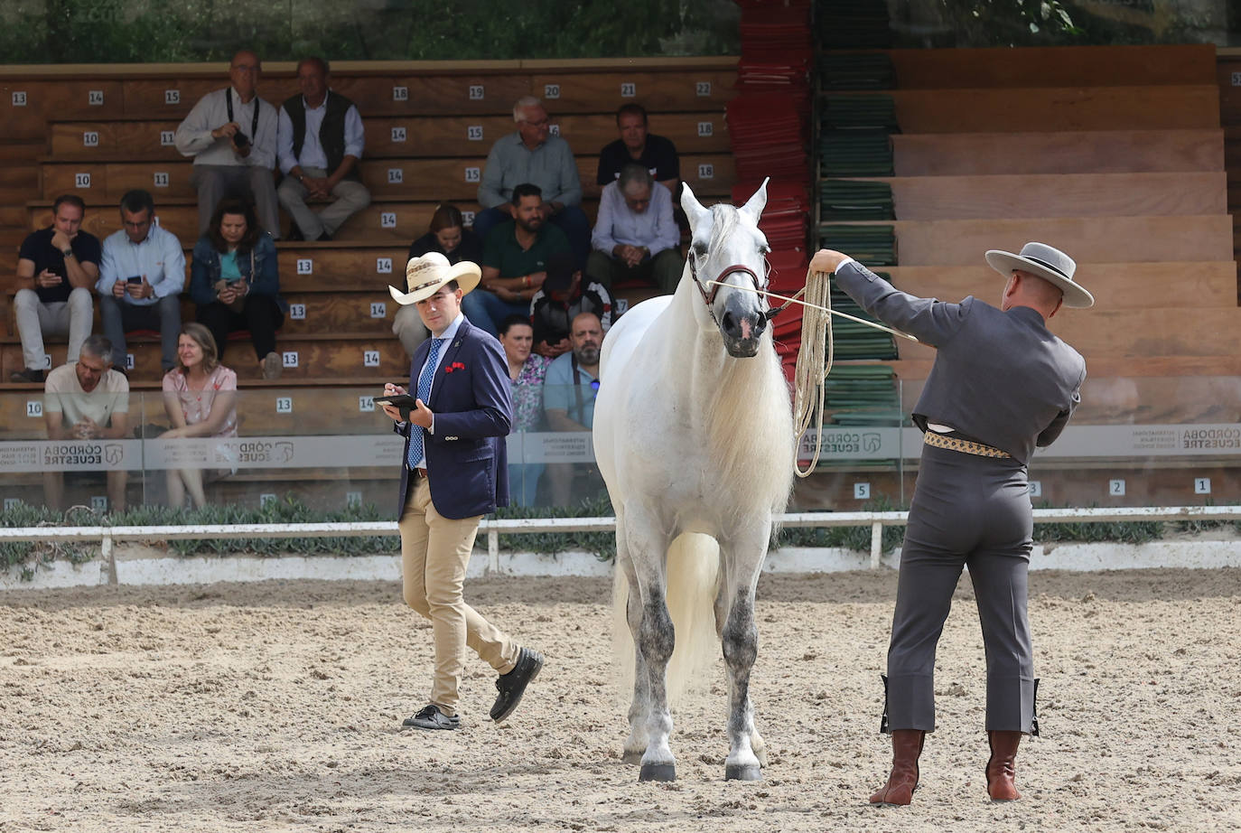 Fotos: El Concurso Morfológico de Cabalcor en Córdoba