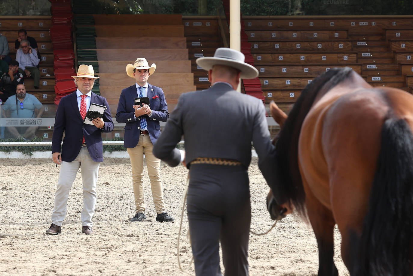 Fotos: El Concurso Morfológico de Cabalcor en Córdoba