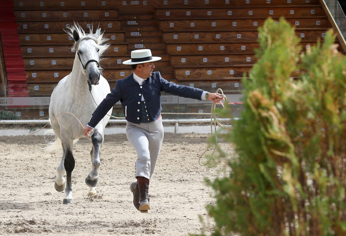 Fotos: El Concurso Morfológico de Cabalcor en Córdoba