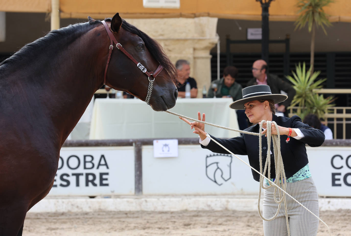 Fotos: El Concurso Morfológico de Cabalcor en Córdoba