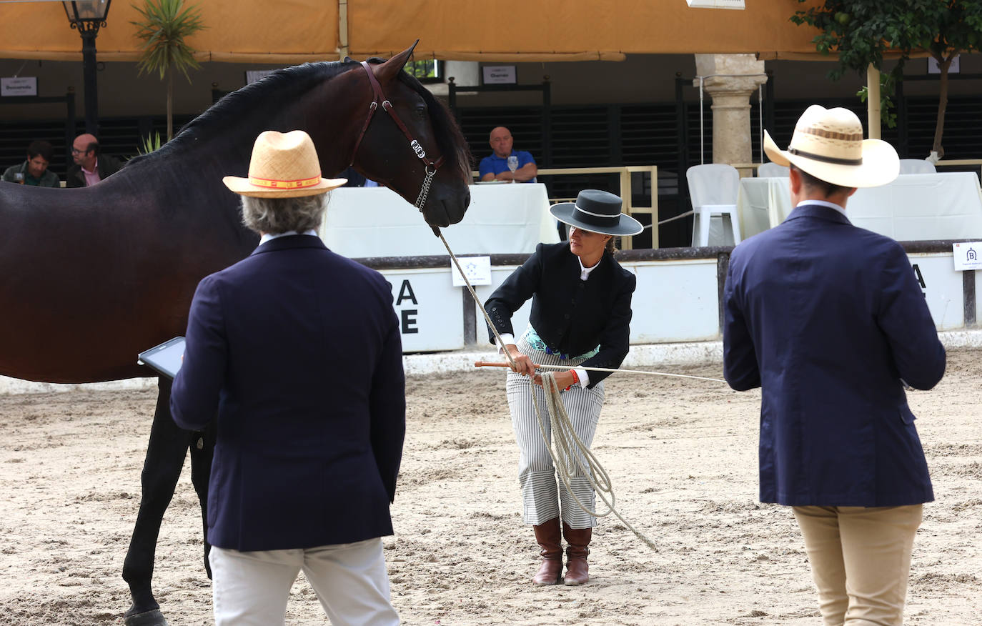 Fotos: El Concurso Morfológico de Cabalcor en Córdoba