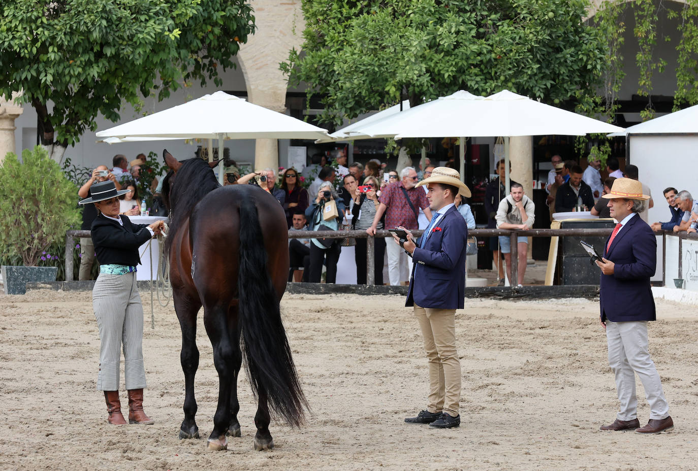 Fotos: El Concurso Morfológico de Cabalcor en Córdoba