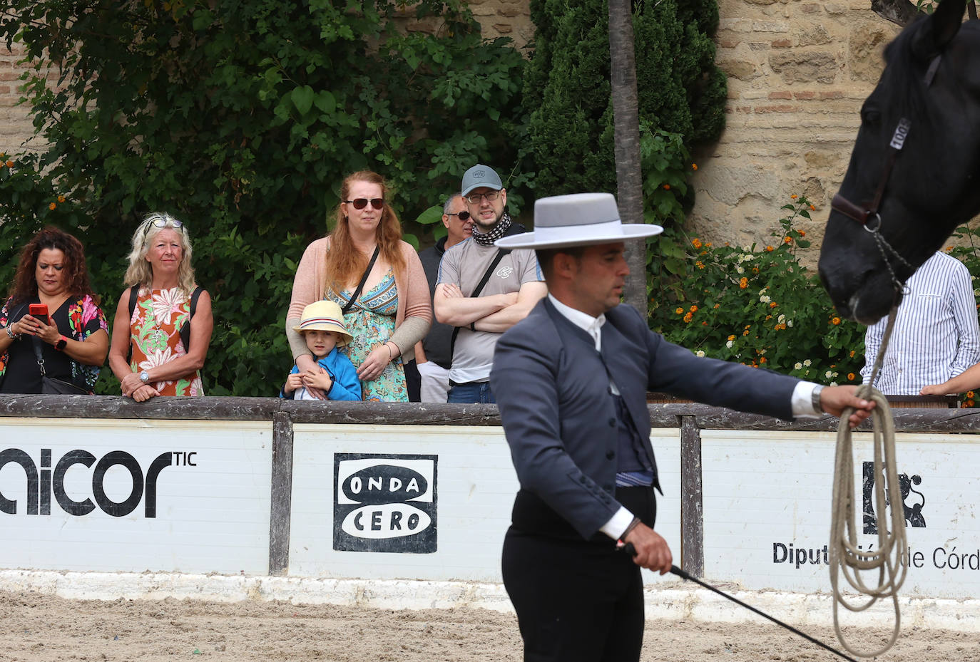 Fotos: El Concurso Morfológico de Cabalcor en Córdoba